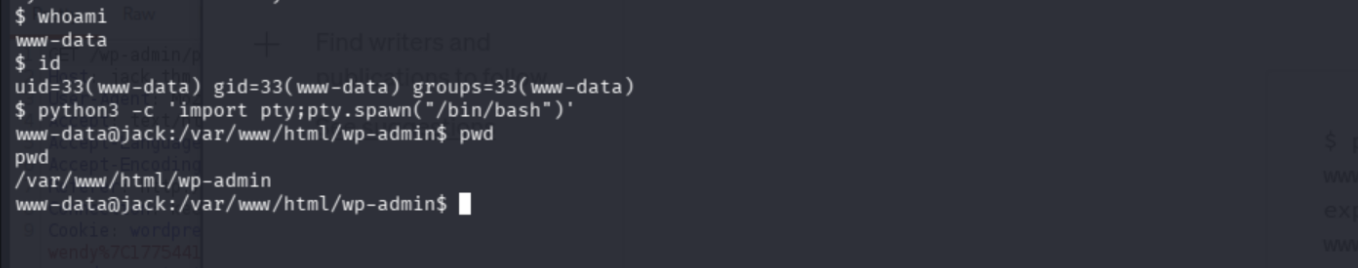 Stable shell confirmed